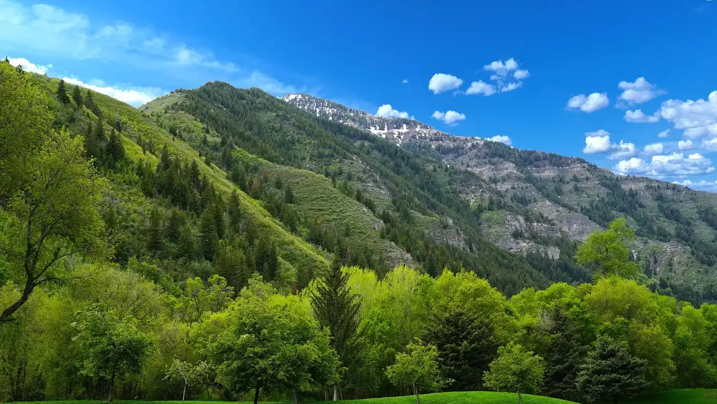 Green forested valley rising to rocky mountain ridges under a blue sky near Sundance, Utah