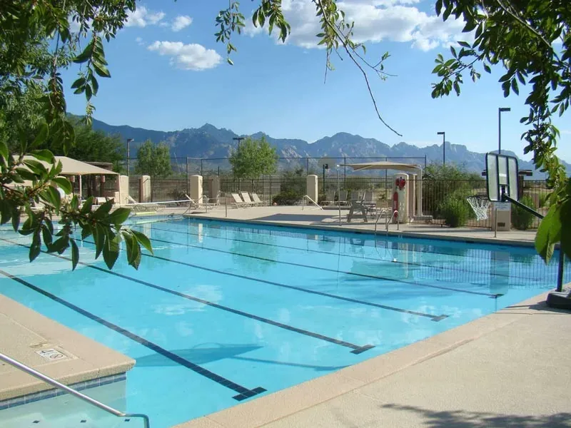 Outdoor lap pool with lane lines and loungers, the Santa Catalina Mountains in the background