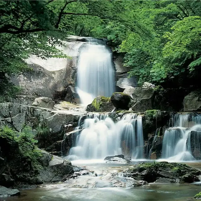 Tiered waterfall cascading over dark rocks into a pool, framed by dense green jungle