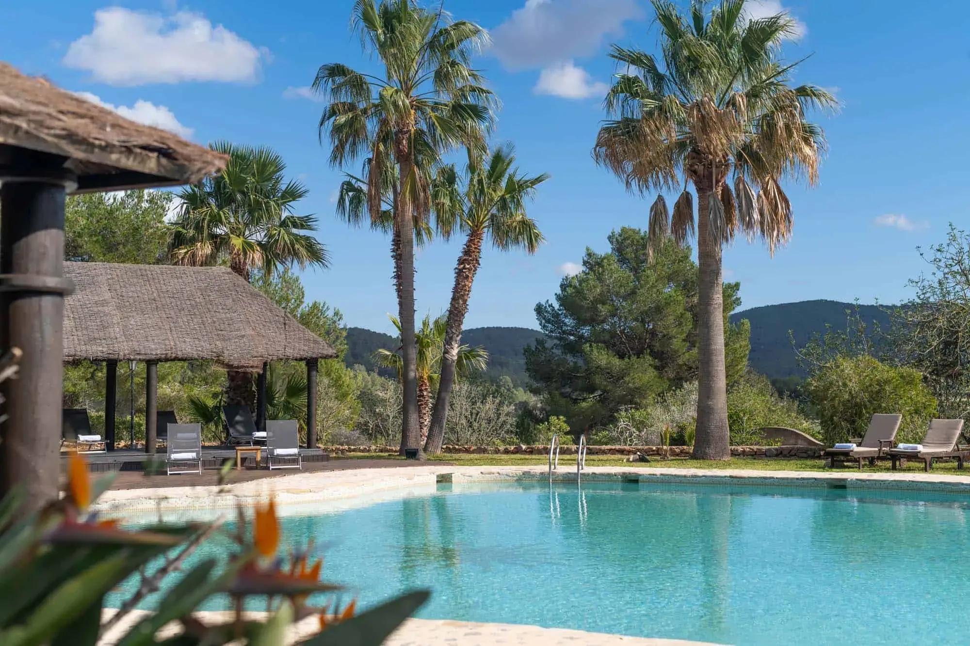 Outdoor swimming pool with a thatched shade structure, tall palm trees and wooded hills behind