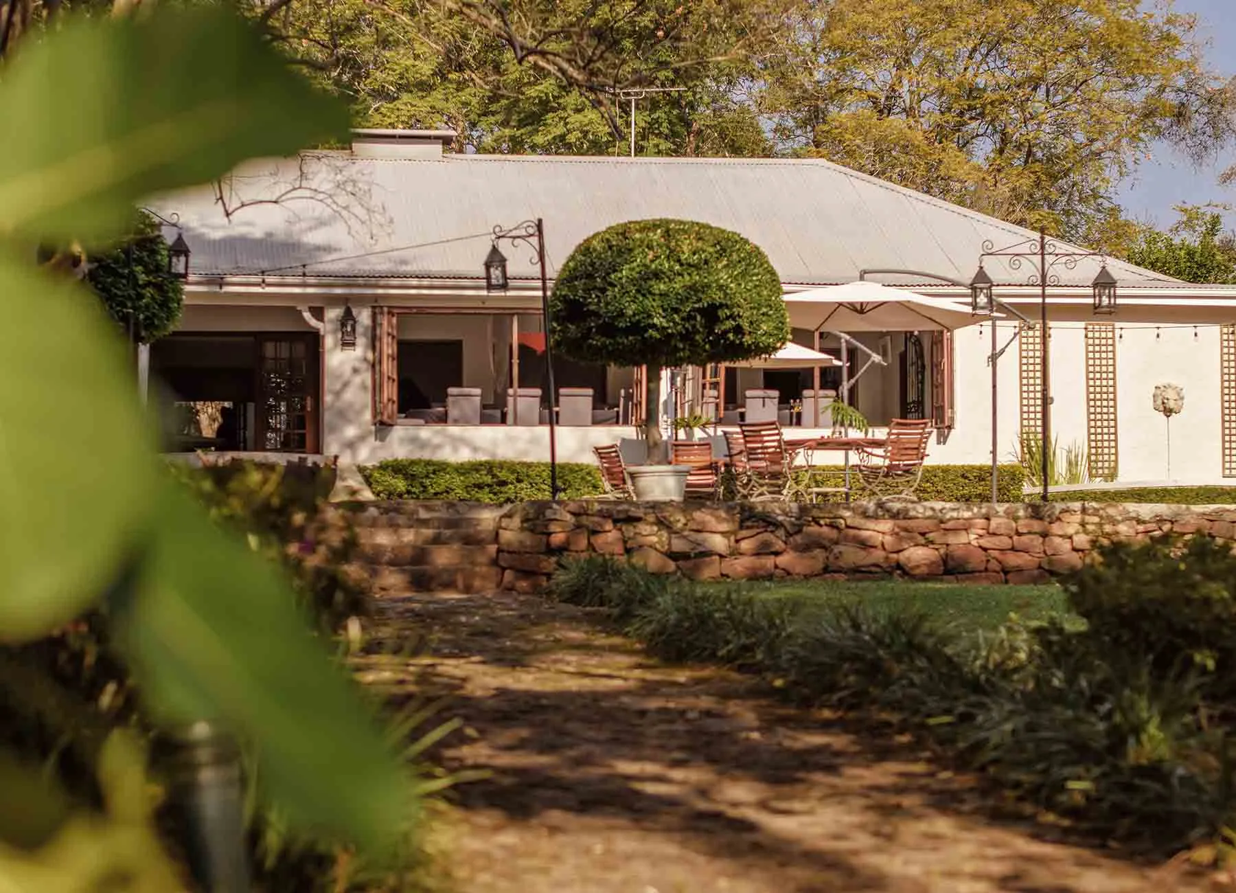 Single storey white manor house with a shaded terrace and stone walled garden seen through foliage