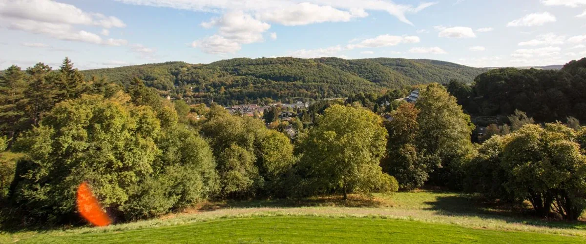 Lawn and trees in the clinic grounds looking across a valley to forested hills under a blue sky