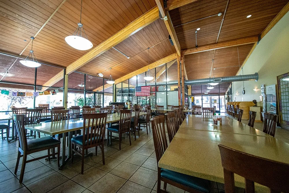 Dining hall with long wooden tables, chairs, pendant lamps and a sloped wood-panelled ceiling