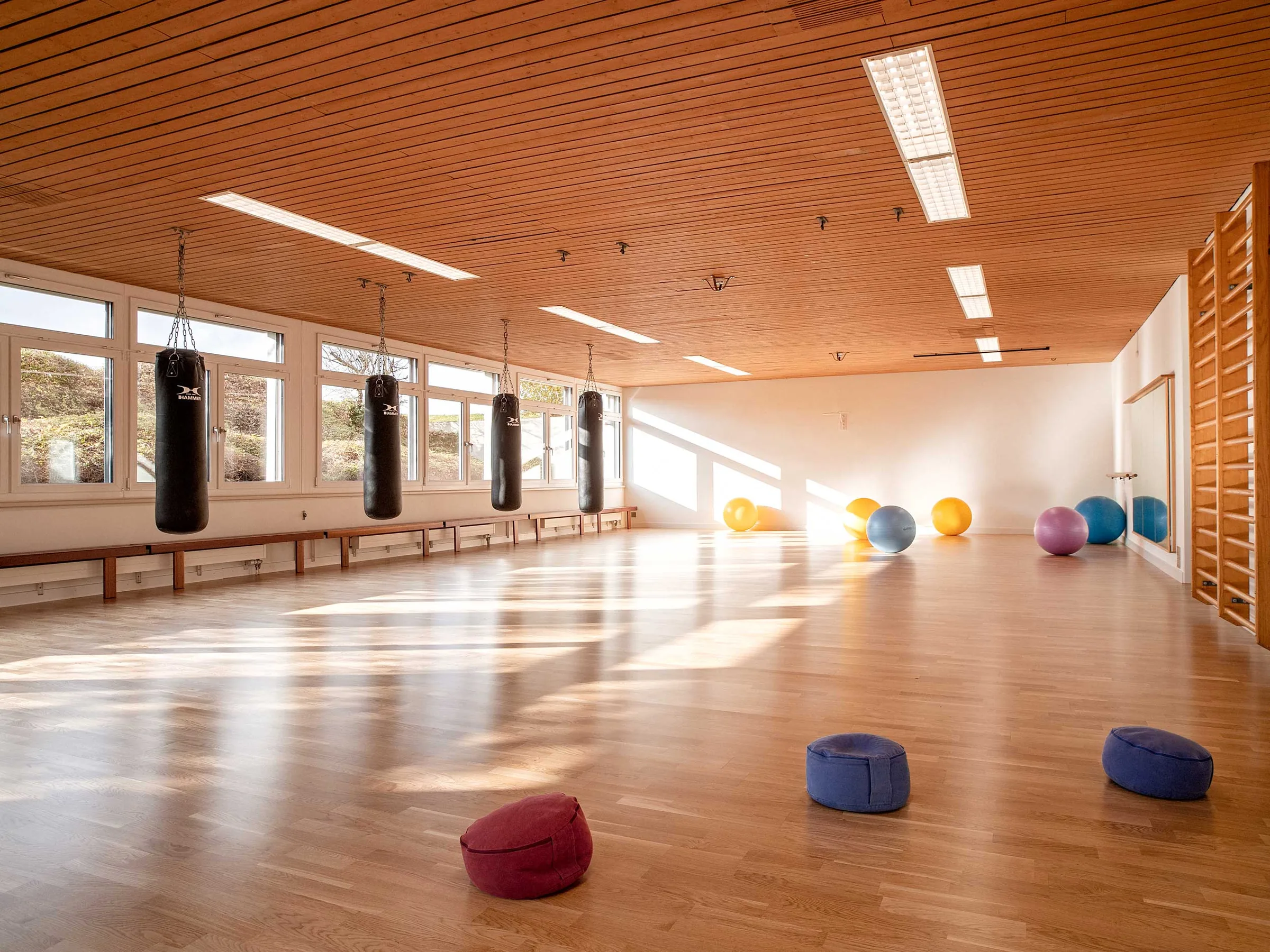 Movement therapy hall with a wooden floor, punch bags, exercise balls and floor cushions