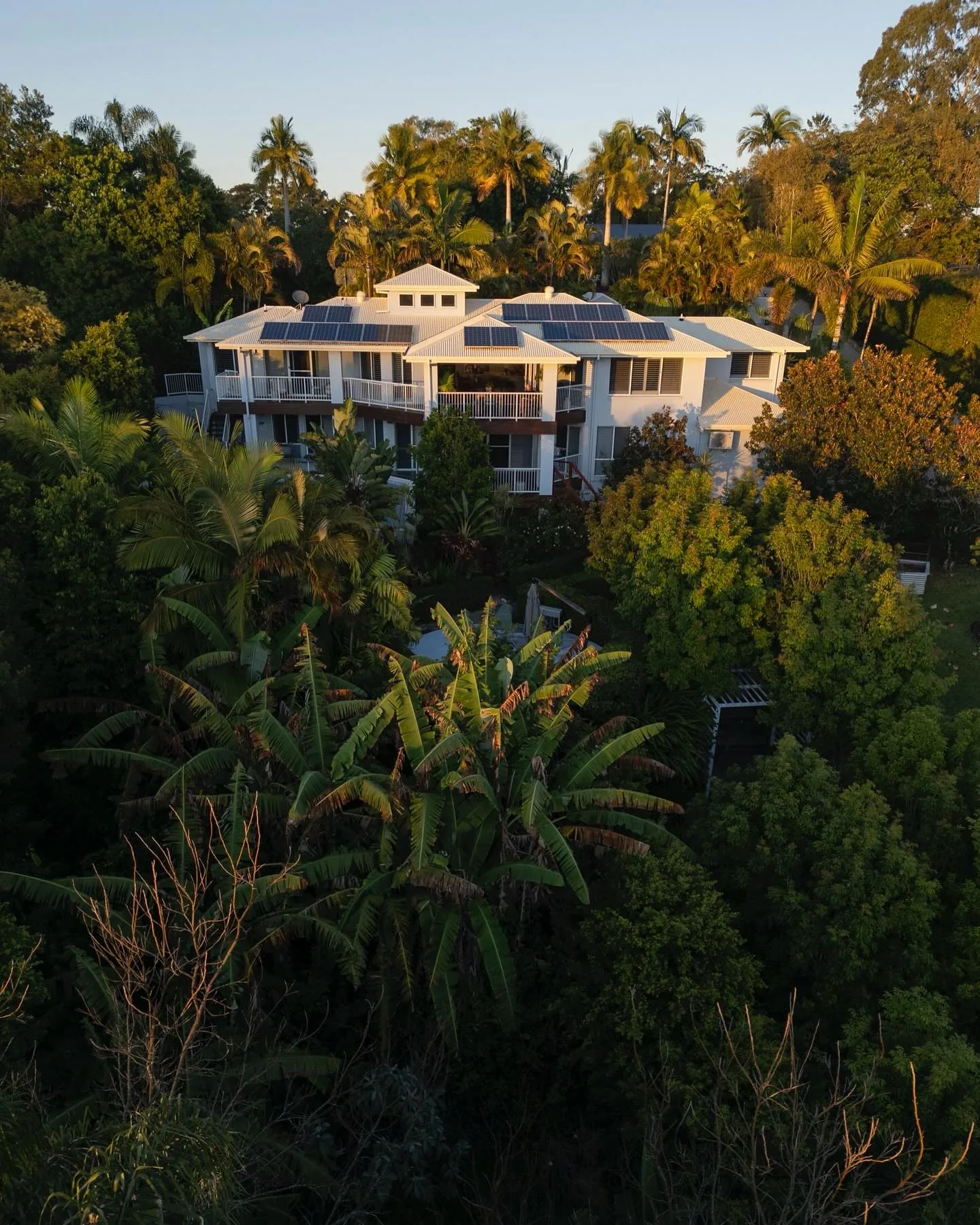 White multi-level residence with balconies set among dense palms and subtropical trees