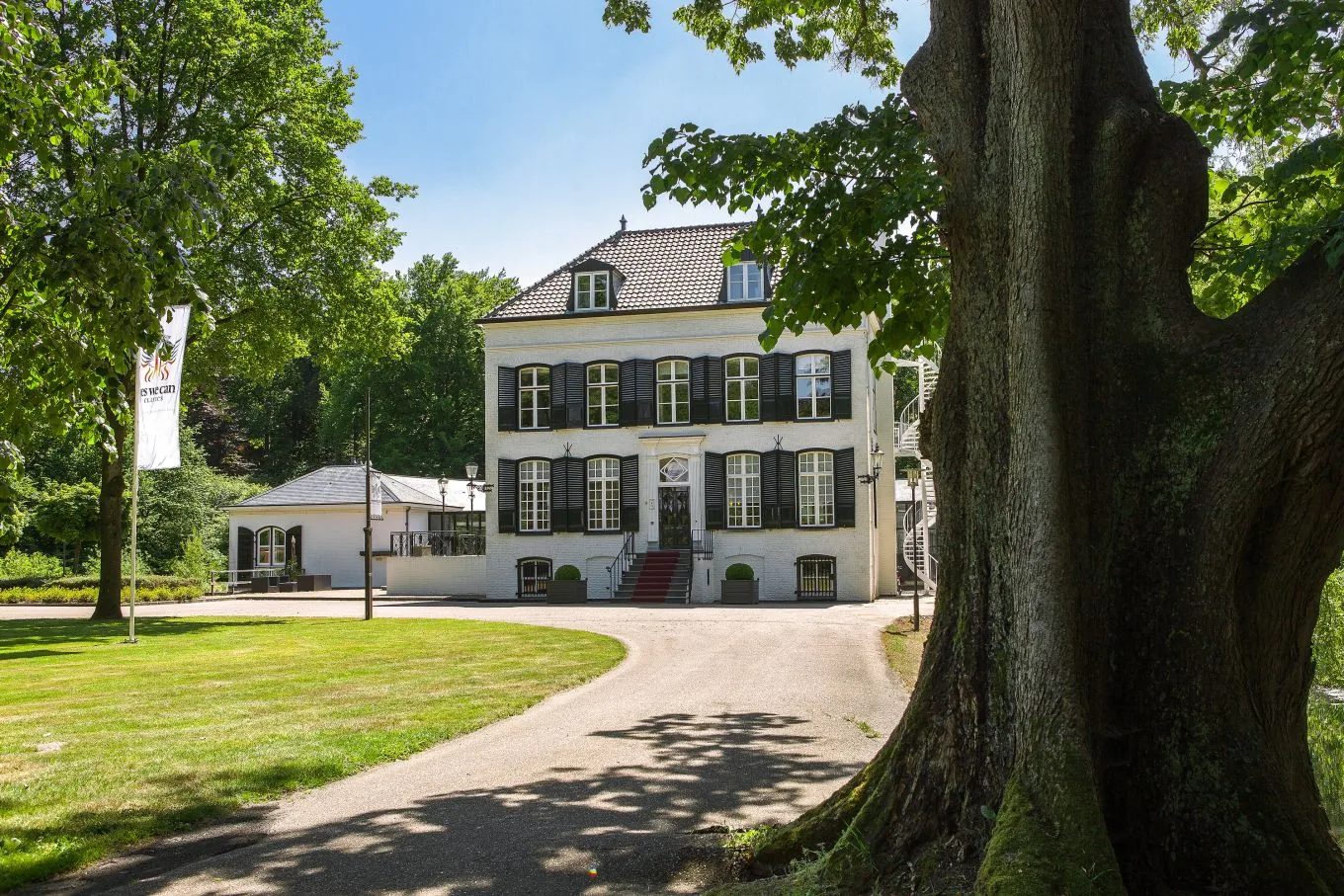 White three storey manor house with dark shutters and a curved drive, framed by a large old tree trunk