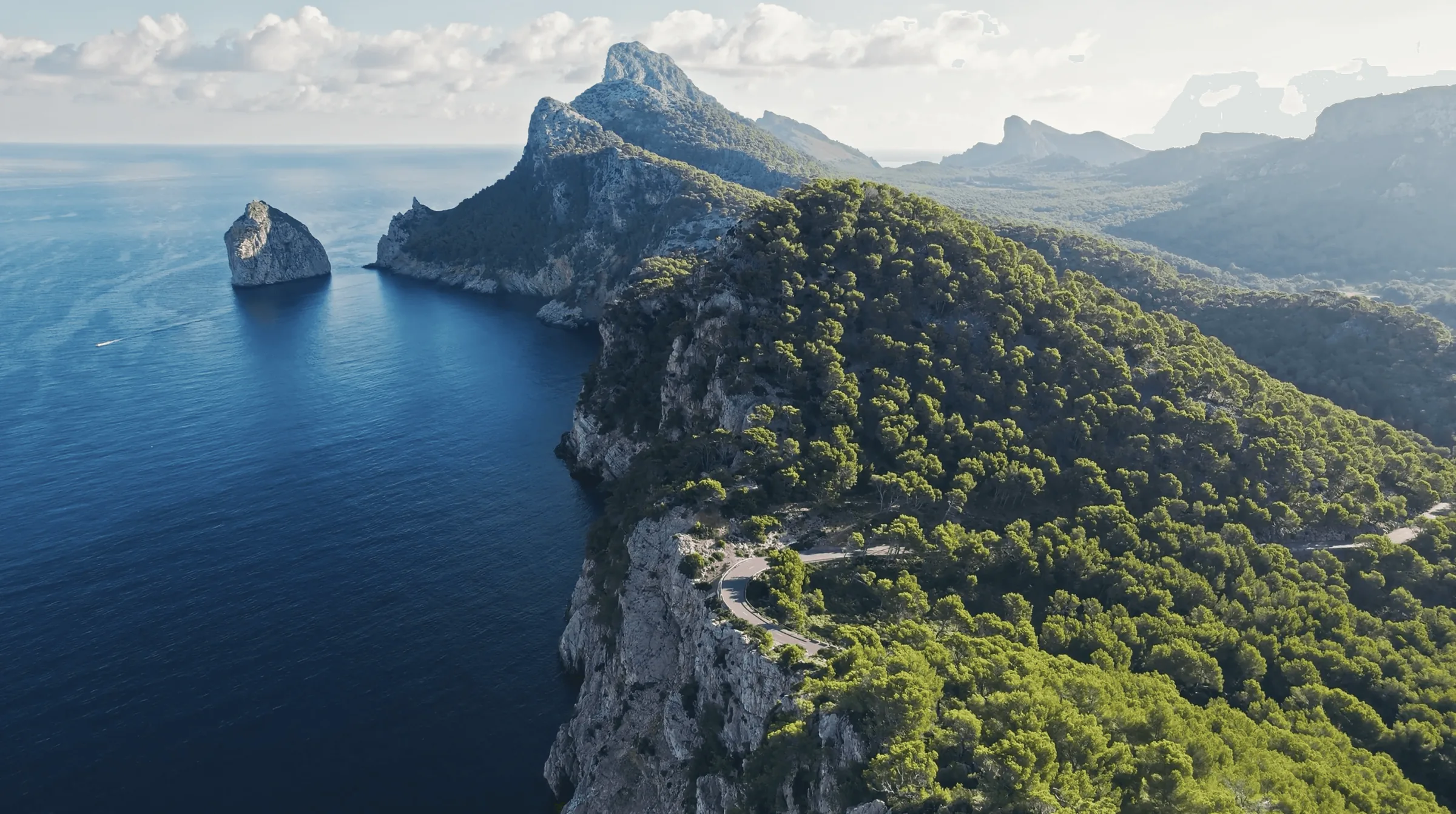 Aerial view of steep pine-covered cliffs and a rocky islet above a calm blue sea
