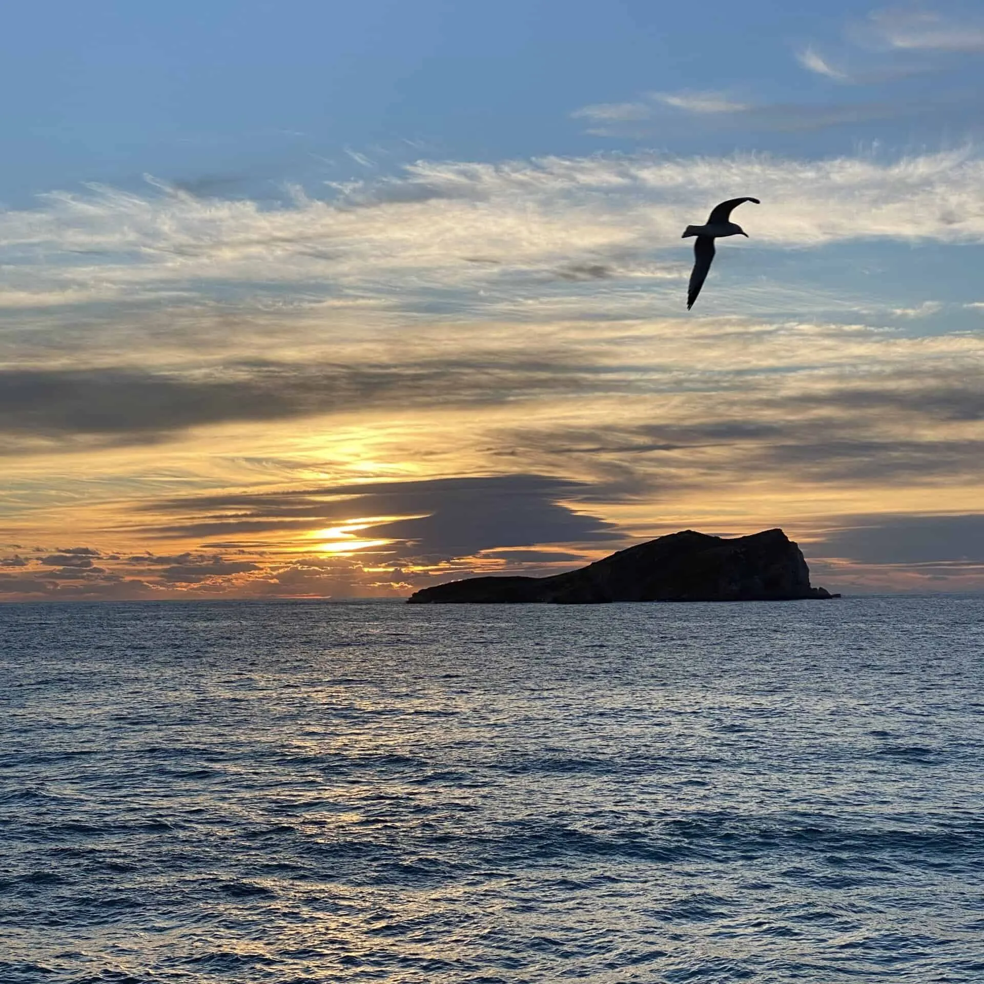 Calm sea at sunset with a rocky islet on the horizon and a seabird flying overhead