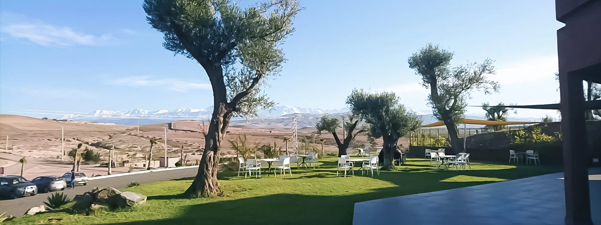 Olive trees on a green lawn with garden tables, overlooking a dry plain and distant mountains