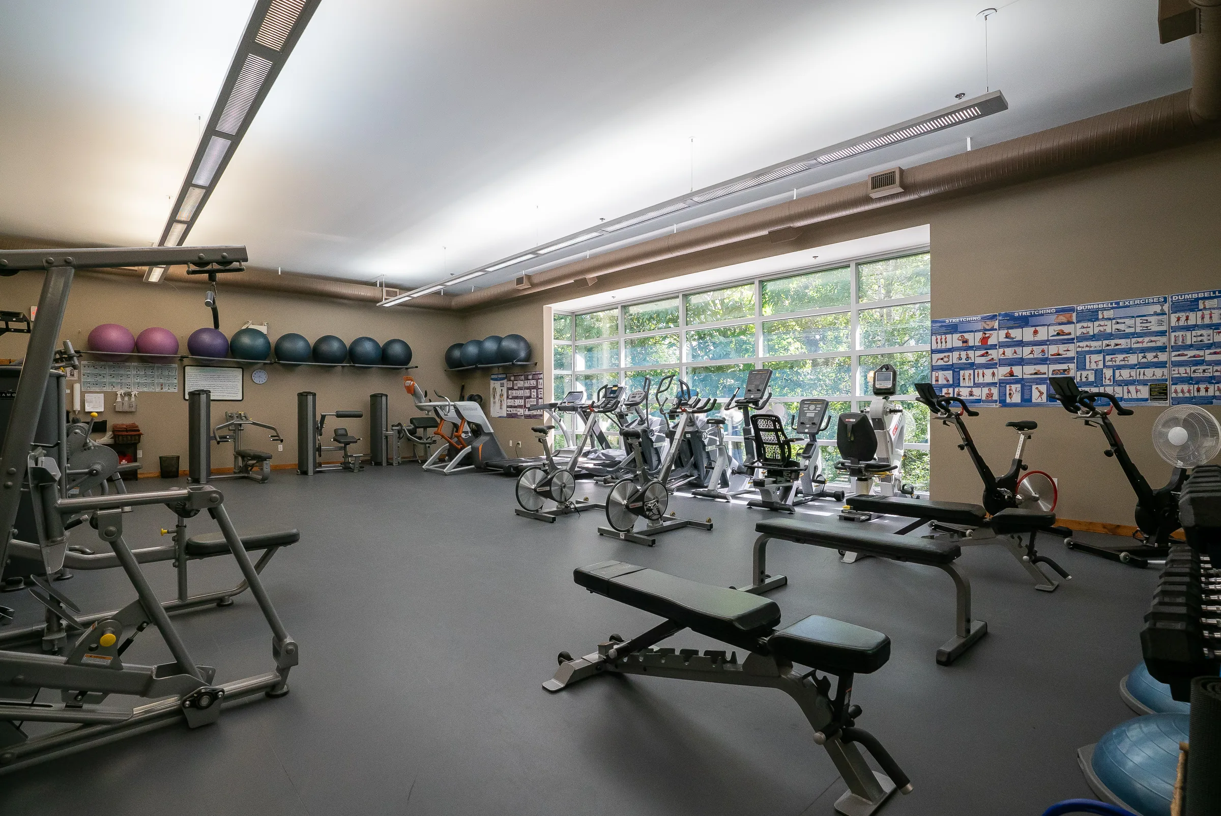 Fitness room with weight benches, cardio machines, exercise balls and a wall of windows onto trees