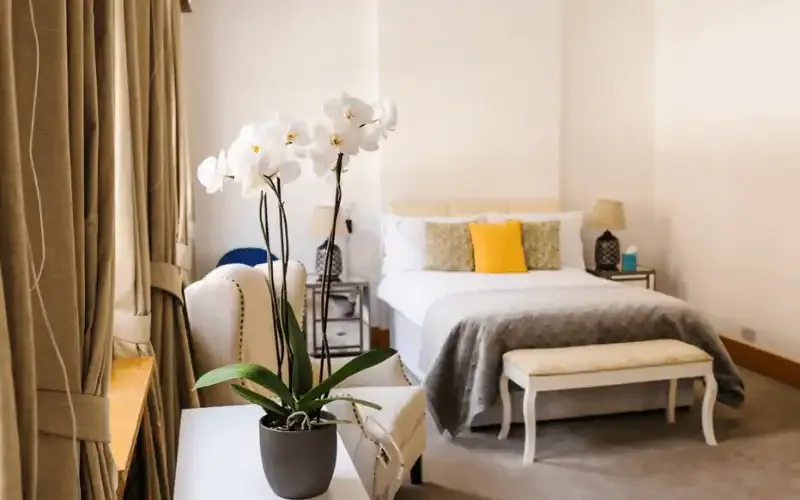 Double bed with yellow cushions and a grey throw, a white orchid in the foreground by the window