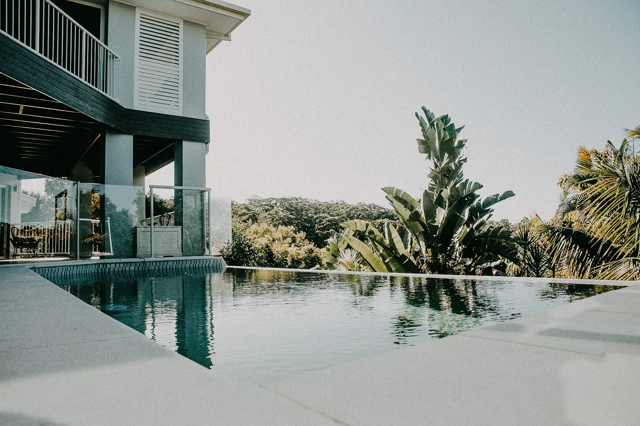Swimming pool with glass fencing beside the house, framed by palms and tropical plants