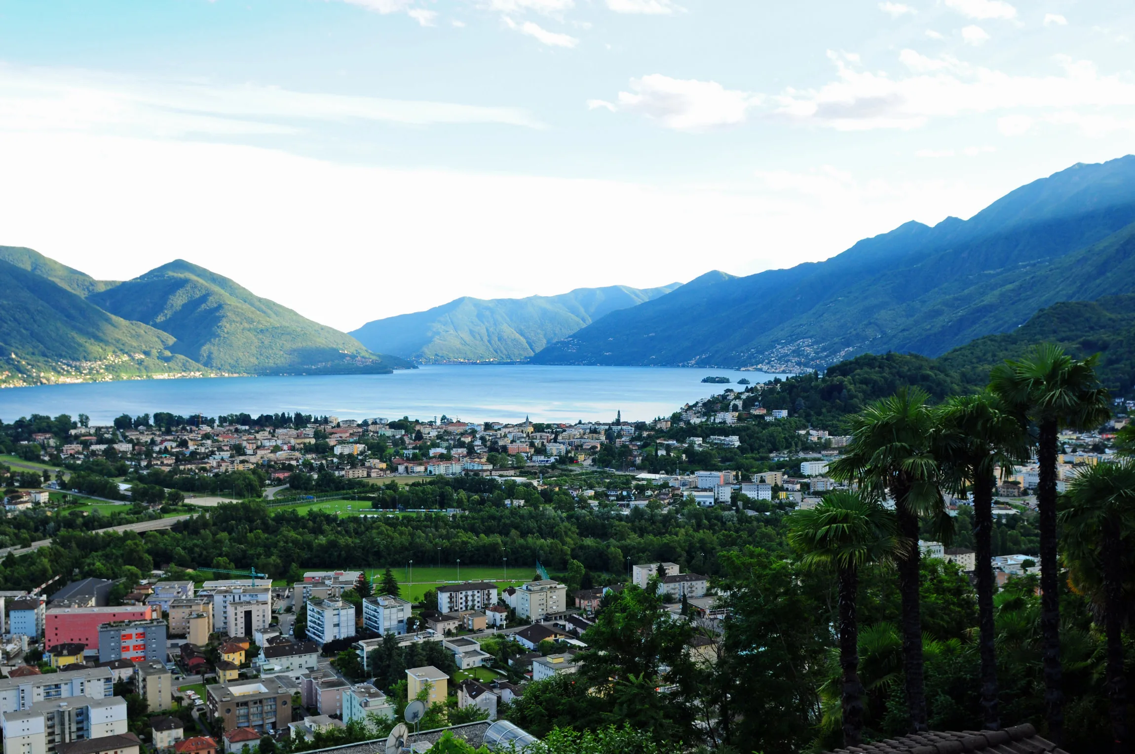 View over Orselina and Locarno rooftops and palm trees toward Lake Maggiore and wooded mountains
