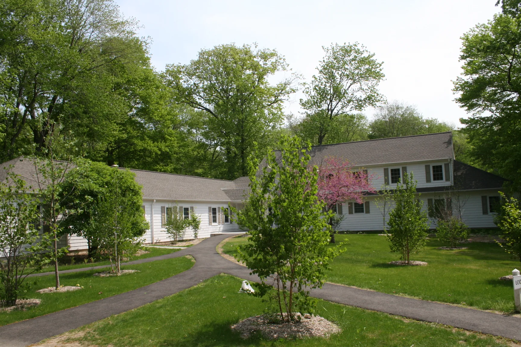 Curving footpaths across a green lawn with young trees leading to low white campus buildings