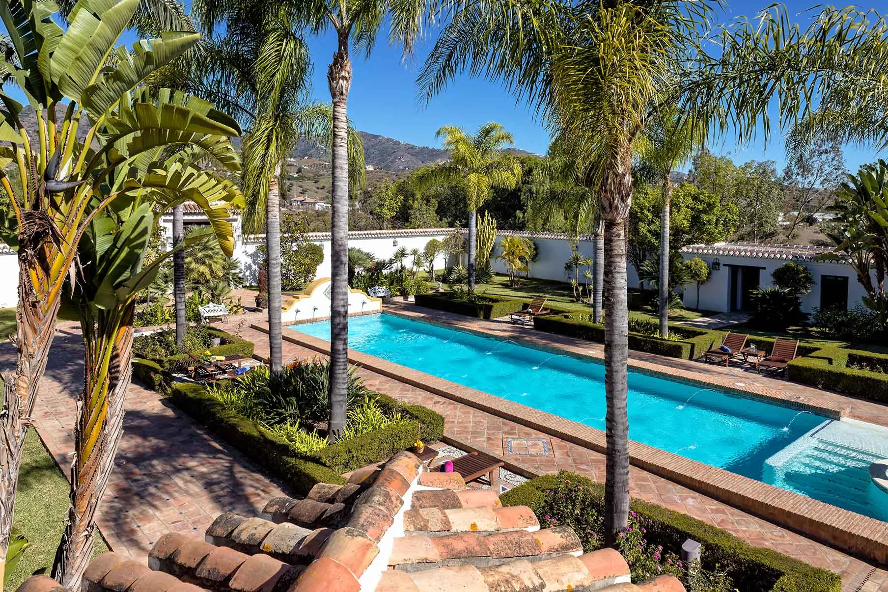 Long swimming pool lined with palms and hedges beside white single storey buildings, hills behind