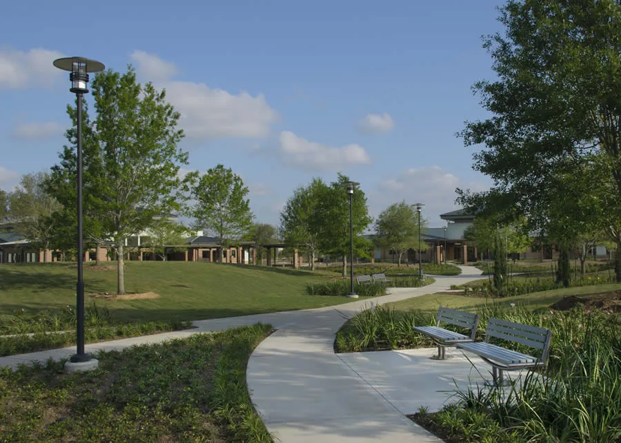 Landscaped courtyard with curving paths, young trees and a covered walkway between clinic buildings